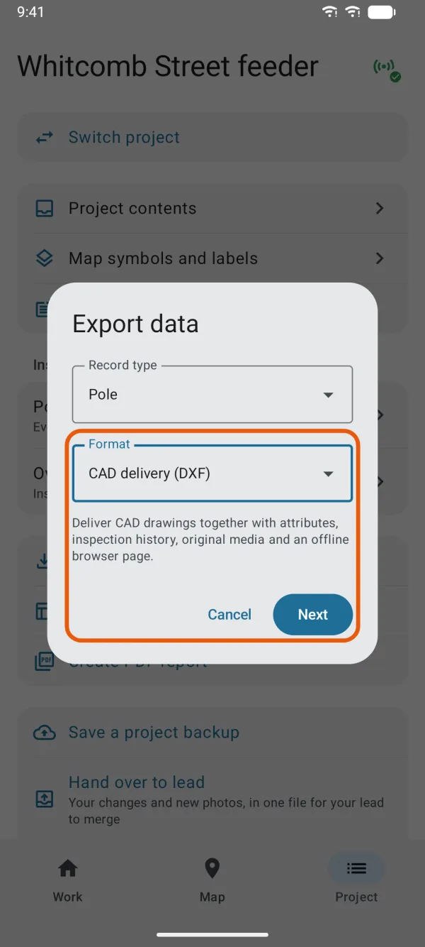 CAD delivery (DXF) chosen, with Next.