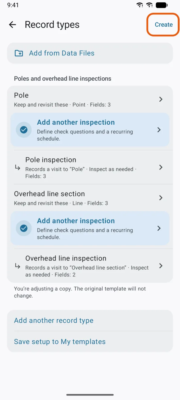 The template's record types, ready to create.