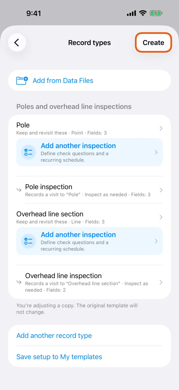 The template's record types, ready to create.