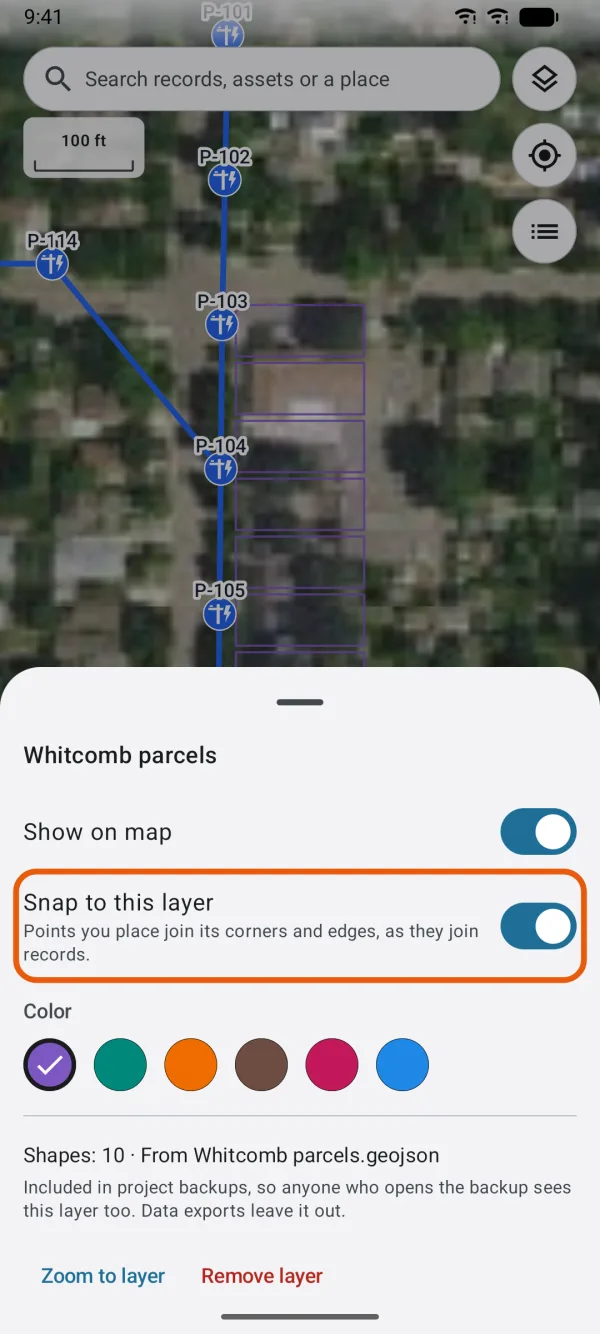Show on map, Snap to this layer, Color, and the layer's details.