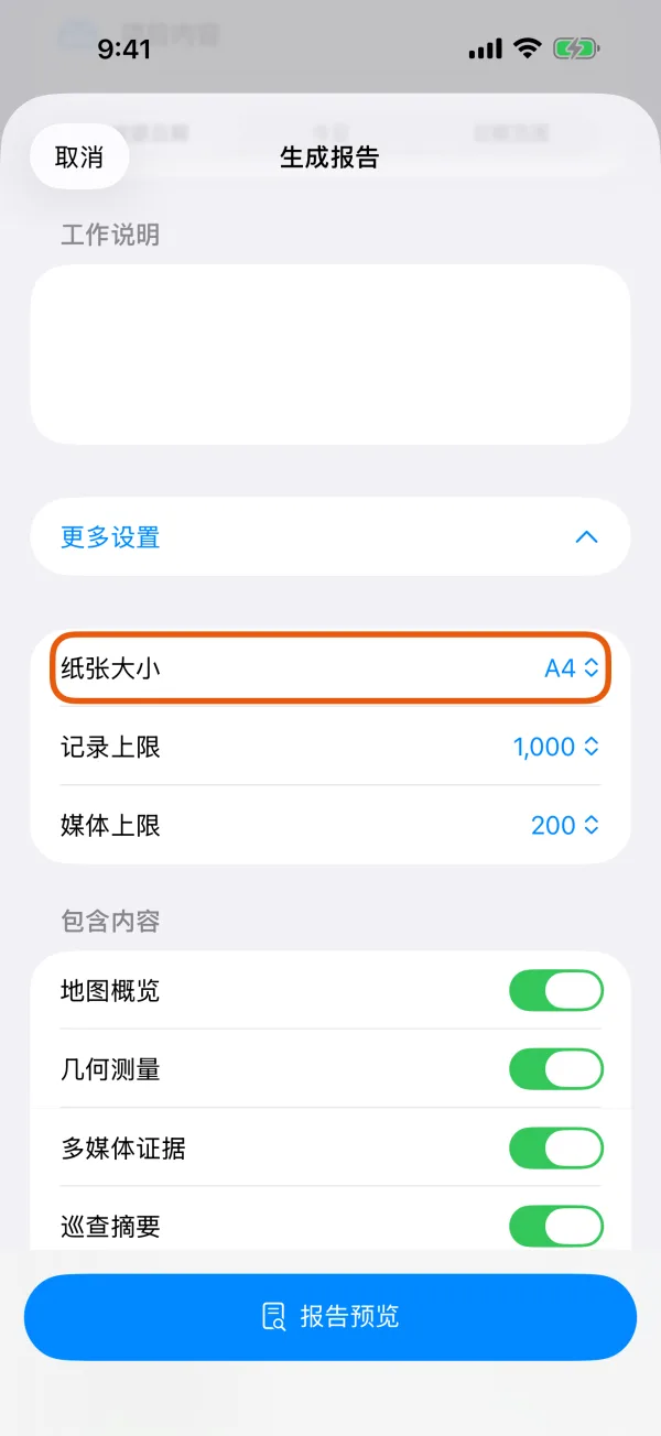 纸张大小、记录上限和媒体上限。