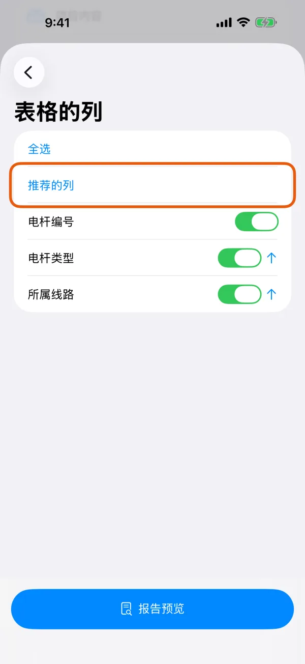 一个记录类型要打印的列。