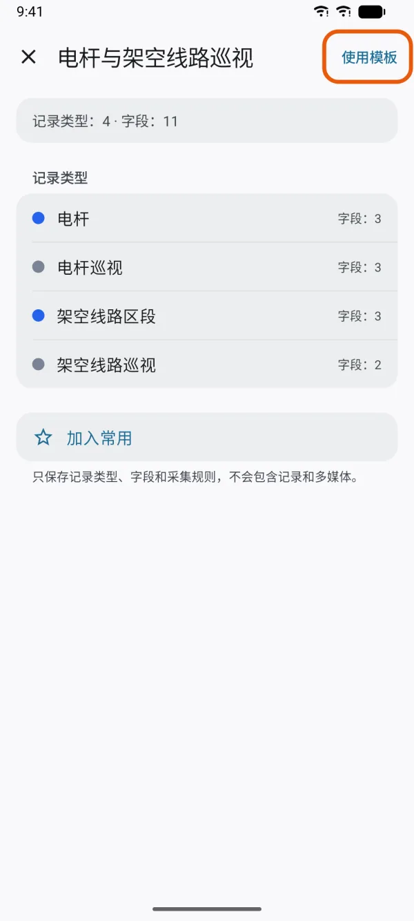 模板的记录类型，顶部是“使用模板”。