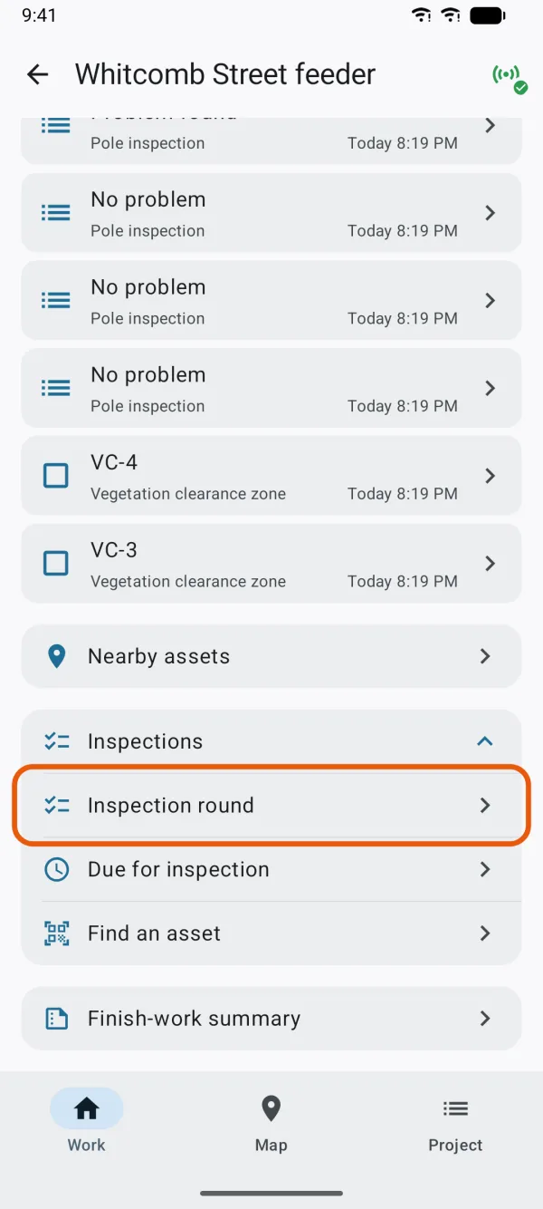 The Inspections group on the Work tab.
