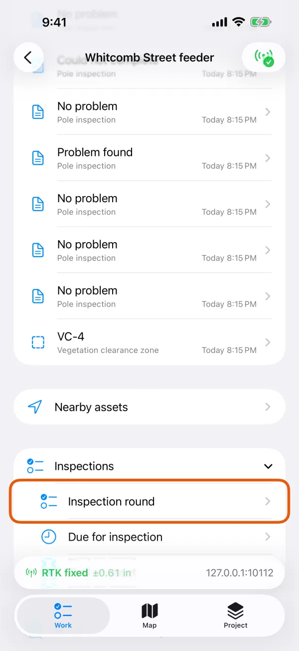 The Inspections group on the Work tab.