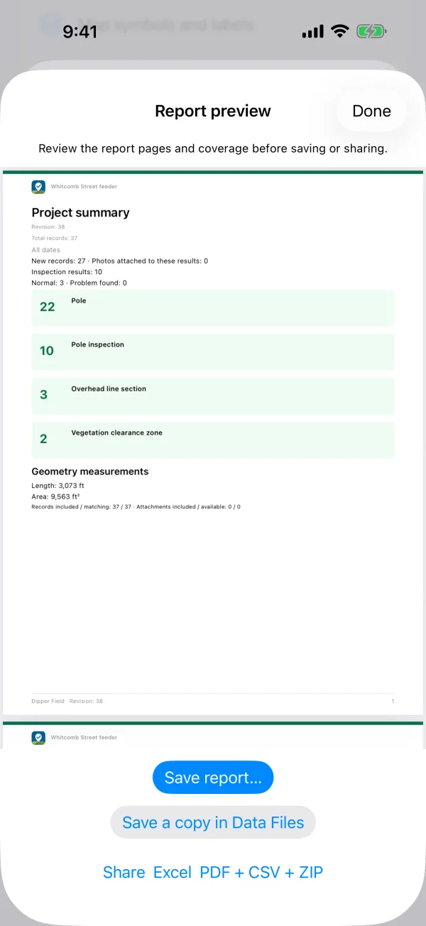 The preview of a project's PDF report