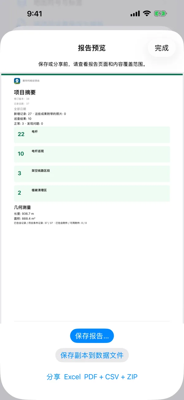 项目 PDF 报告的预览